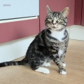 Victor (FIV POSITIEF)